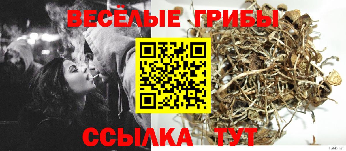 Подольск  Галлюциногенные грибы Psilocybine cubensis  Вход с VPN  Галлюциногенные грибы Psilocybine cubensis 