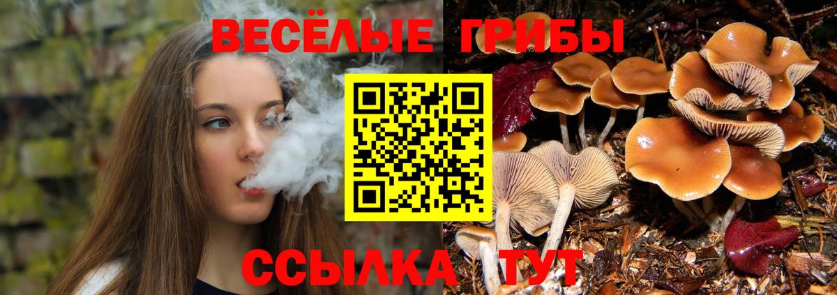 Псилоцибиновые грибы Magic Shrooms Подольск